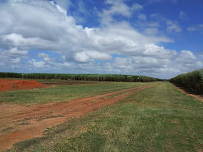 M&E Hydro Tomato Growers