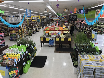 Ritchies IGA Plus Liquor Erina