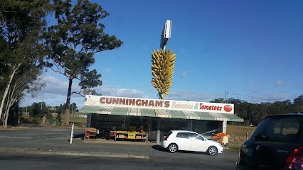 Cunningham's Bananas