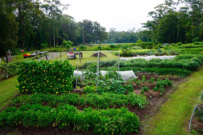New Life Farm