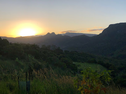 Freeman's Organic Farm