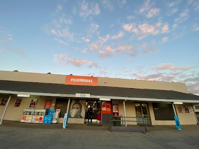 FoodWorks Orange