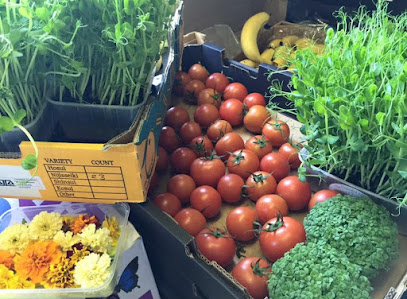 FreshBox Organic Delivery
